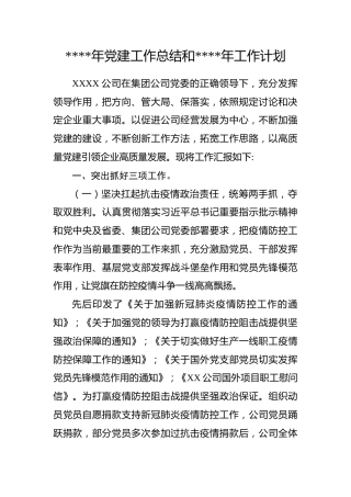 企业：XX公司2020年党建工作总结和2021年工作计划