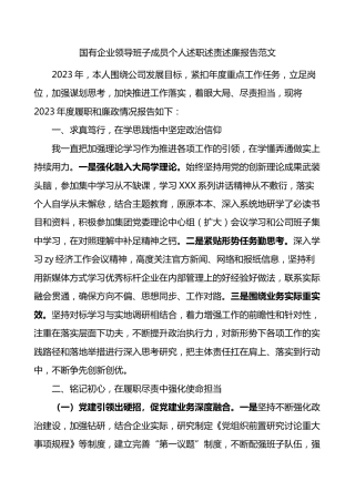 国有企业领导班子成员个人述职述责述廉报告公司个人工作汇报总结