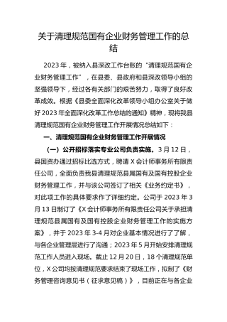 清理规范国有企业财务管理工作的总结