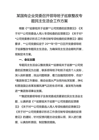 国有企业党委召开领导班子巡察整改专题民主生活会工作方案