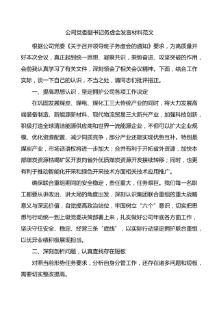公司党委副书记务虚会发言材料范文国有企业