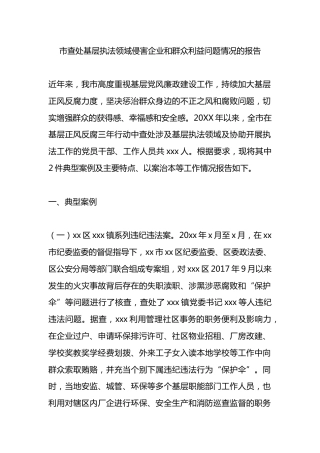 市查处基层执法领域侵害企业和群众利益问题情况的报告汇报总结