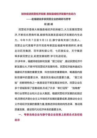 加快促进民营经济发展  激发县域经济发展内生动力——赴福建省多家民营企业的调研与思考