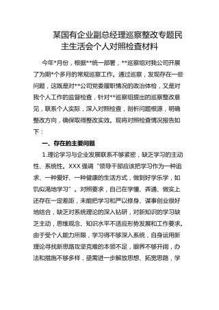 国有企业副总经理巡察整改专题民主生活会个人对照检查材料