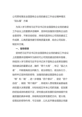 公司贯彻落实全国国有企业党的建设工作会议精神情况“回头看”方案—