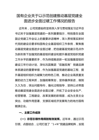 国有企业以示范创建推动基层党建全面进步全面过硬工作情况的报告