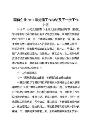 国有企业2024年党建工作总结及下一步工作计划