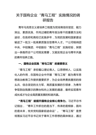 国有企业“青马工程”实施情况的调研报告