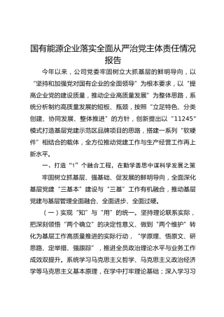 国有能源企业落实全面从严治党主体责任情况报告