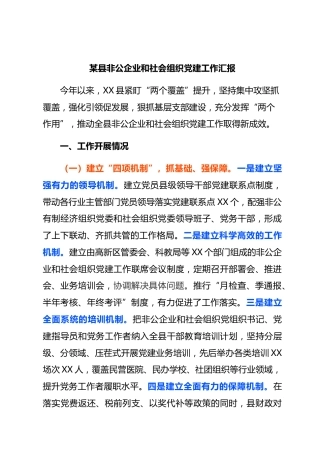 （四个四）某县非公企业和社会组织党建工作汇报