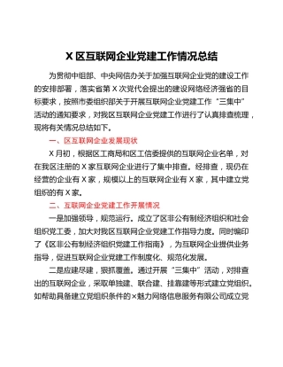 X区互联网企业党建工作情况总结