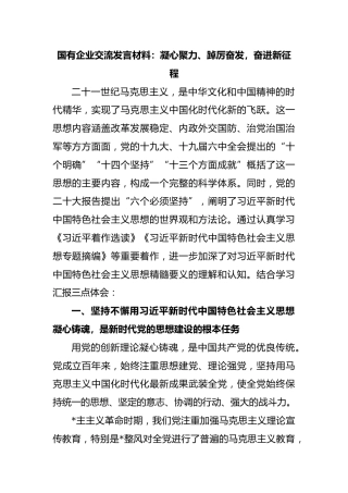 国有企业交流发言材料：凝心聚力、踔厉奋发，奋进新征程(2)