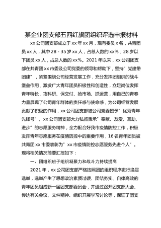 企业团支部五四红旗团组织评选申报材料