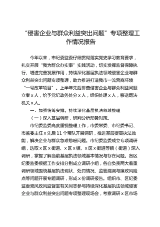 “侵害企业与群众利益突出问题”专项整理工作情况报告