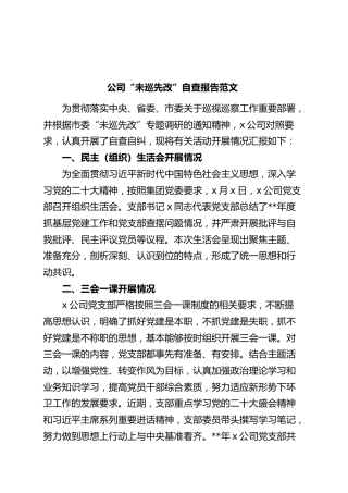 公司“未巡先改”自查报告范文·三会一课发展党员党费企业工作汇报总结