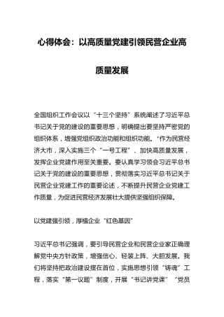 心得体会：以高质量党建引领民营企业高质量发展