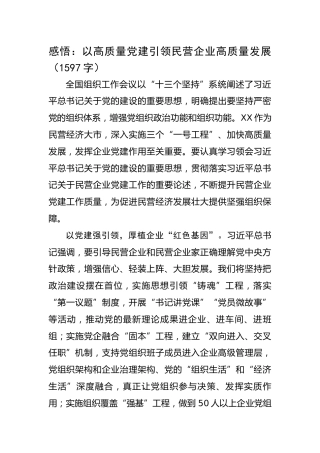全国组织工作会议感悟：以高质量党建引领民营企业高质量发展