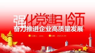 强化党建引领 奋力推进企业高质量发展dz党政