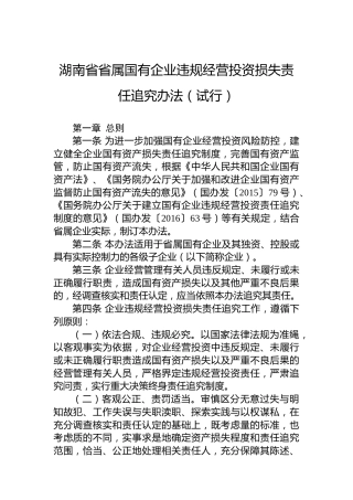 湖南省省属国有企业违规经营投资损失责任追究办法（试行）