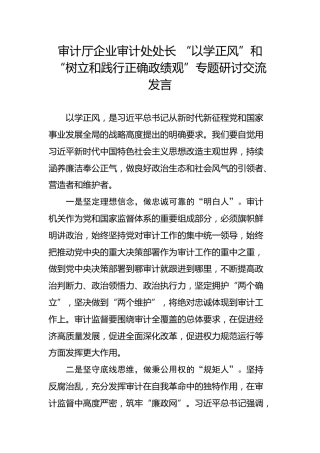 审计厅企业审计处处长 “以学正风”和“树立和践行正确政绩观”专题研讨交流发言