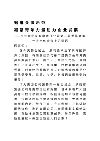 站排头做示范凝聚青年力量助力企业发展在共青团X有限责任公司第二届委员会第一次全体会议上的讲话