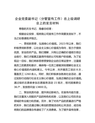 企业党委副书记（分管宣传工作）在上级调研会上的发言材料