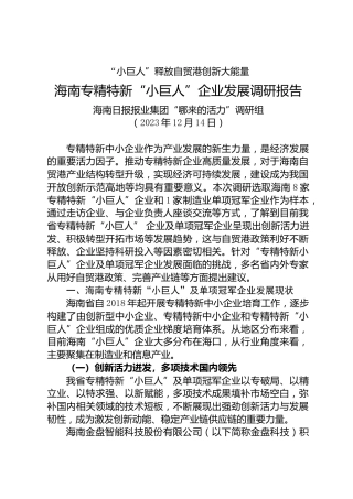 海南专精特新“小巨人”企业发展调研报告
