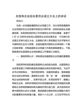 在国有企业综合委员会成立大会上的讲话