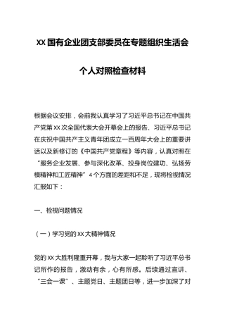 XX国有企业团支部委员在专题组织生活会个人对照检查材料