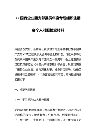 XX国有企业团支部委员年度专题组织生活会个人对照检查材料