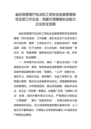 省应急管理厅执法和工贸安全监督管理局党支部工作交流：党建引领精准执法助力企业安全发展