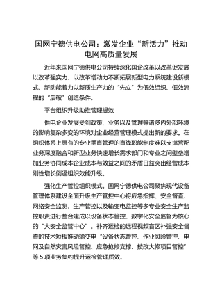 国网宁德供电公司：激发企业“新活力”推动电网高质量发展