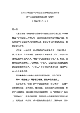 第十二届全国政协副主席马培华：在联合国中小微企业日高峰论坛上的讲话