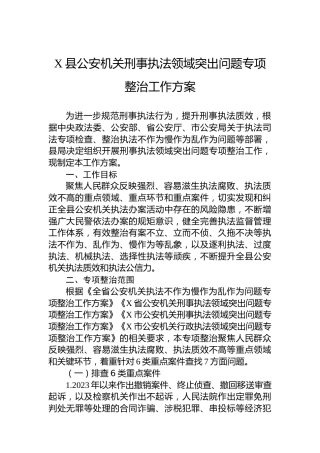 X县公安机关刑事执法领域突出问题专项整治工作方案