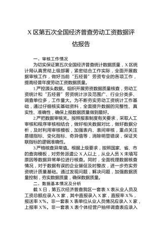 X区第五次全国经济普查劳动工资数据评估报告