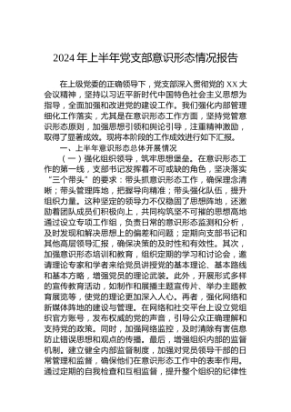 2024年上半年党支部意识形态情况报告