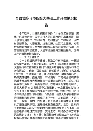 X县城乡环境综合大整治工作开展情况报告