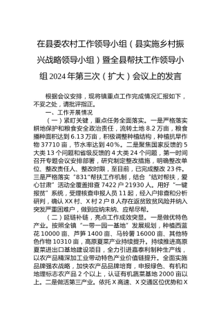 在县委农村工作领导小组（县实施乡村振兴战略领导小组）暨全县帮扶工作领导小组2024年第三次（扩大）会议上的发言