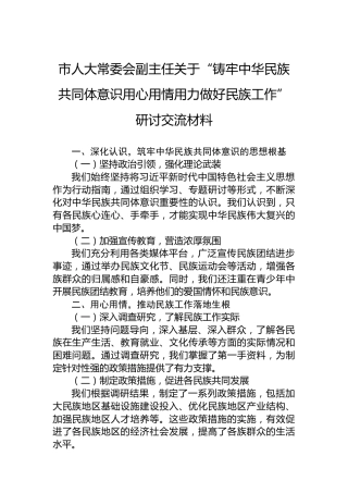 市人大常委会副主任关于“铸牢中华民族共同体意识用心用情用力做好民族工作”研讨交流材料
