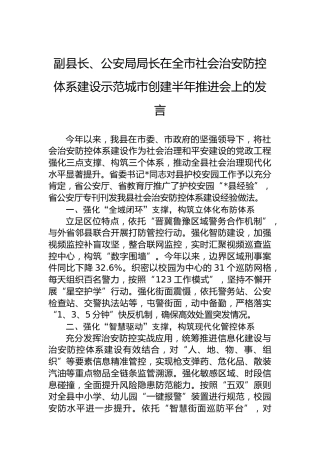 副县长、公安局局长在全市社会治安防控体系建设示范城市创建半年推进会上的发言