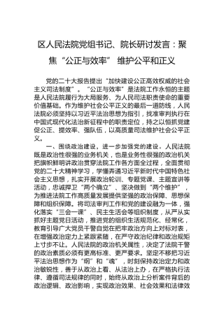 区人民法院党组书记、院长研讨发言：聚焦“公正与效率”维护公平和正义