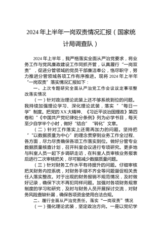 2024年上半年一岗双责情况汇报（国家统计局调查队）