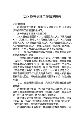 XXX巡察党建工作情况报告