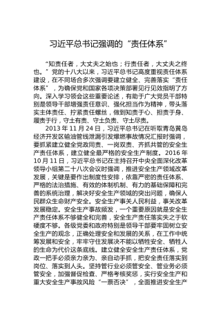 习近平总书记强调的“责任体系”