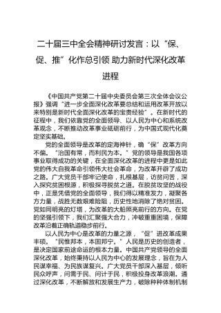 二十届三中全会精神研讨发言：以“保、促、推”化作总引领助力新时代深化改革进程