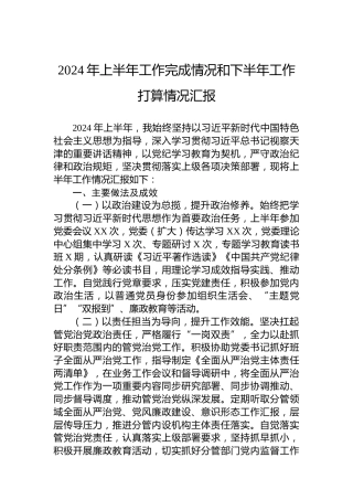 2024年上半年工作完成情况和下半年工作打算情况汇报