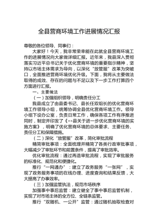 全县营商环境工作进展情况汇报