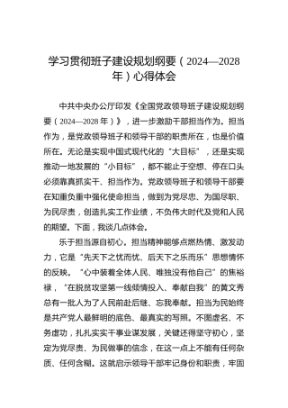 学习贯彻班子建设规划纲要（2024—2028年）心得体会