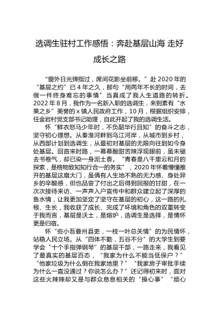 选调生驻村工作感悟：奔赴基层山海走好成长之路