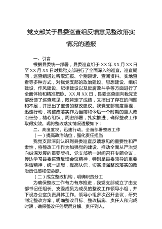 党支部关于县委巡查组反馈意见整改落实情况的通报
